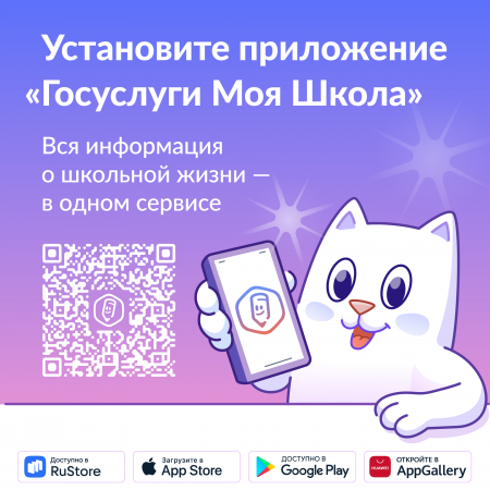 Госуслуги моя школа